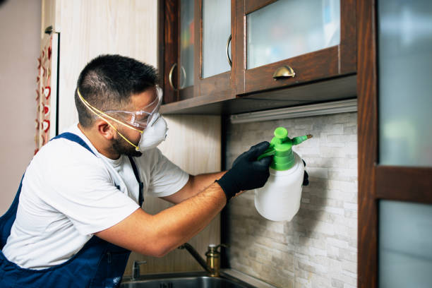 Best Commercial Pest Control Services  in Rainbow Lakes, NJ