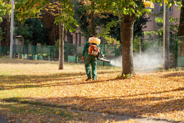 Pest Control Cost in Rainbow Lakes, NJ